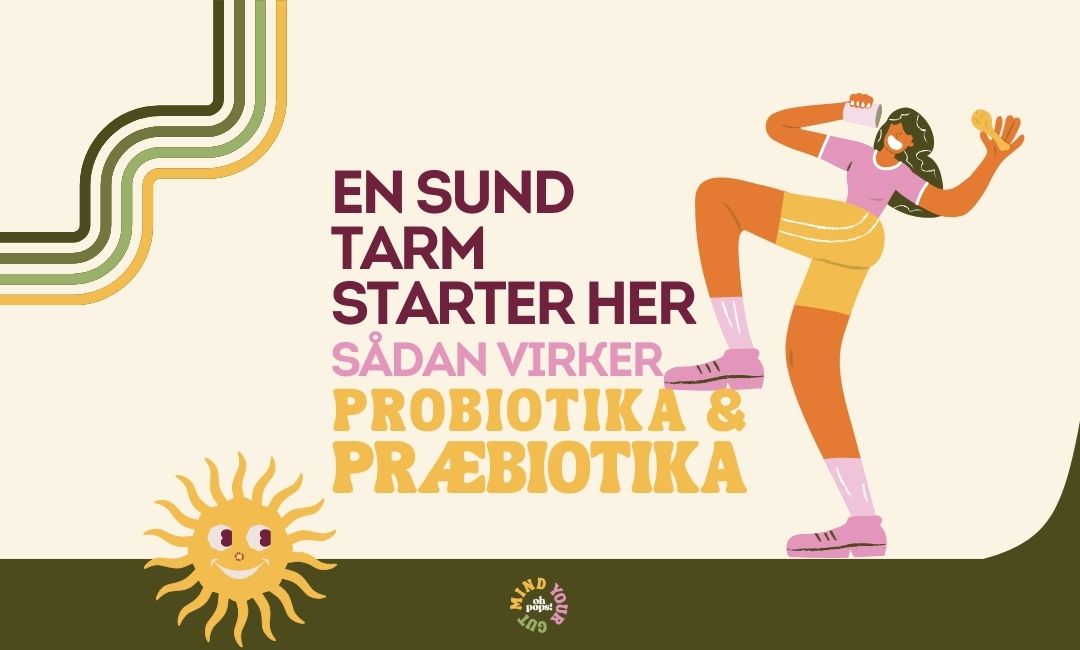 Sådan virker præbiotika og probiotika